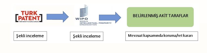 Yurt dışı marka tescil ve uluslararası marka korumasını temsil eden görsel (WIPO)